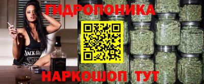 крисы Старая Купавна