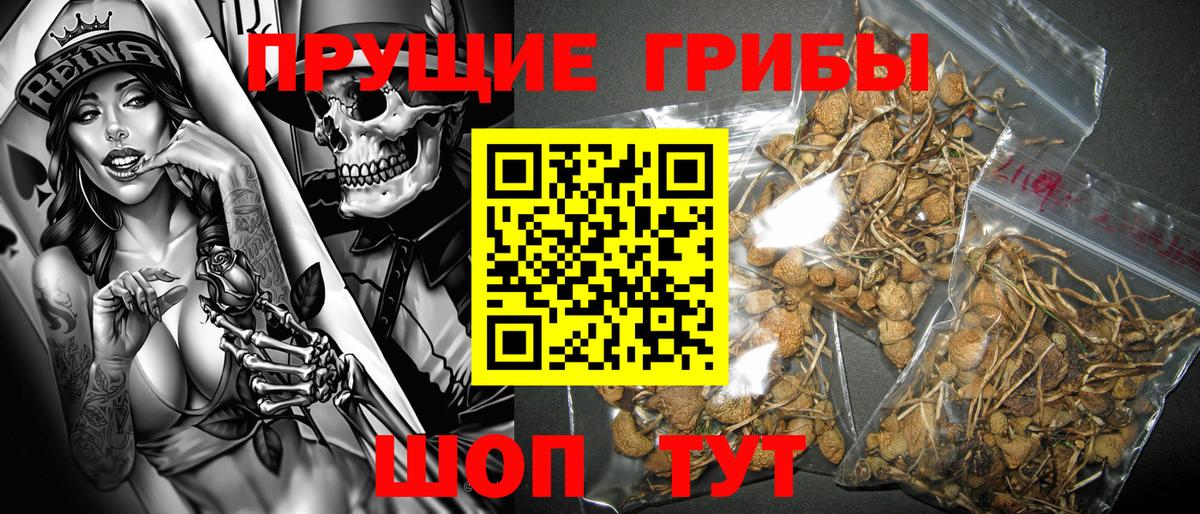 Галлюциногенные грибы мицелий  Вход с VPN  Новосибирск 