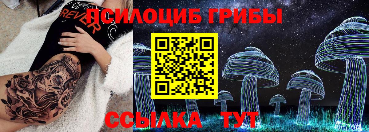 Галлюциногенные грибы мухоморы Новосибирск